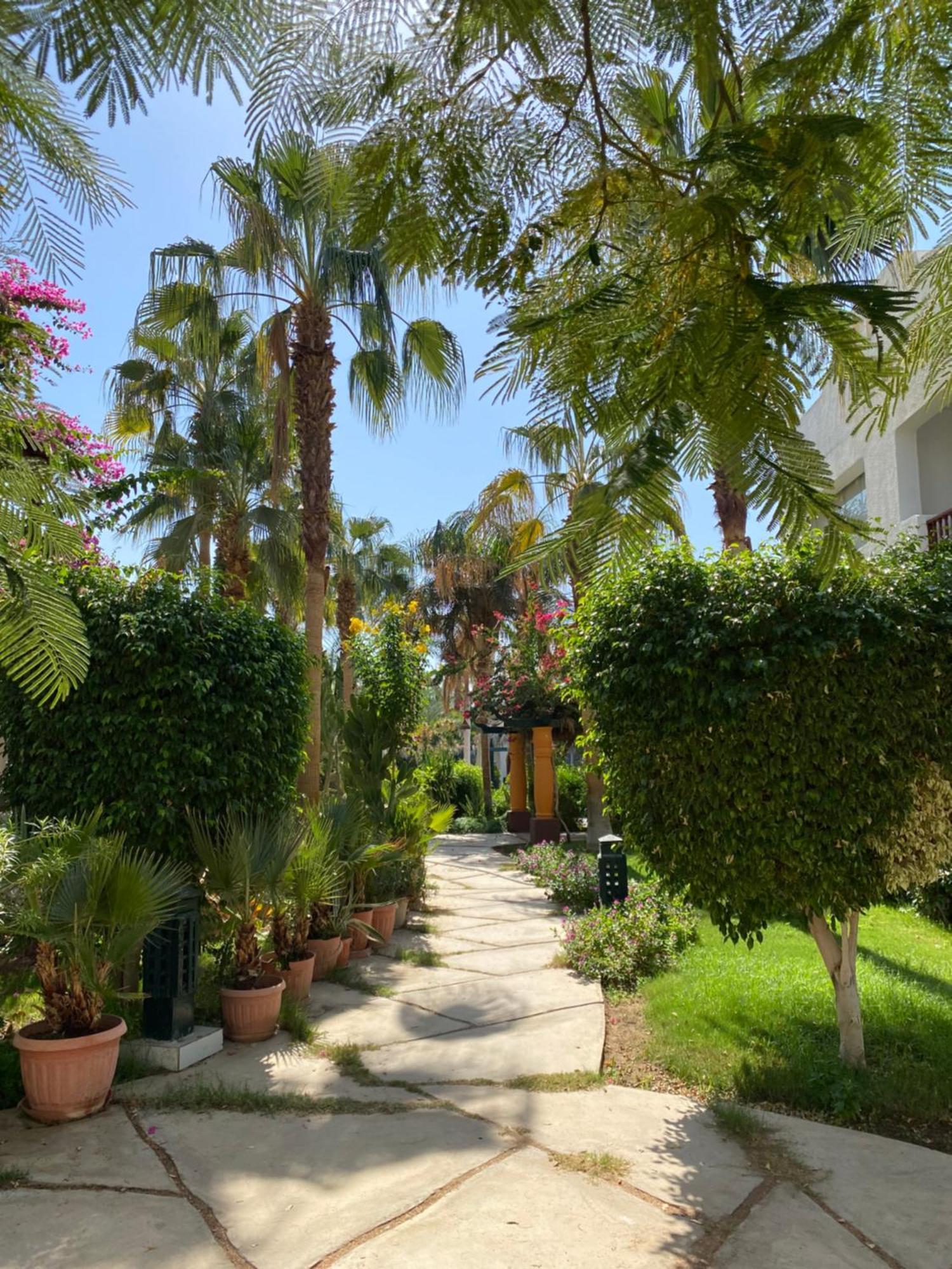 Delta Sharm Daire Dış mekan fotoğraf