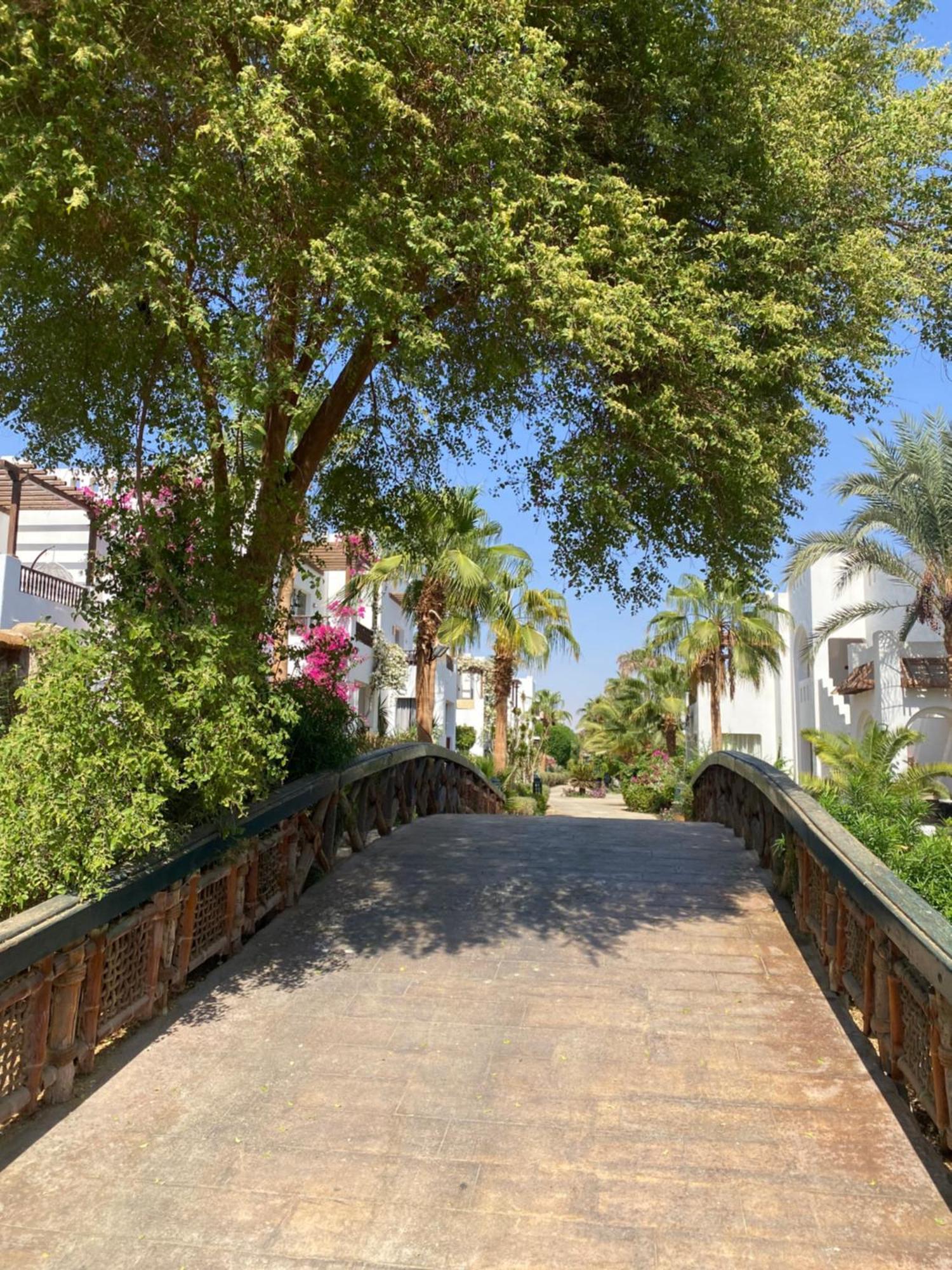 Delta Sharm Daire Dış mekan fotoğraf