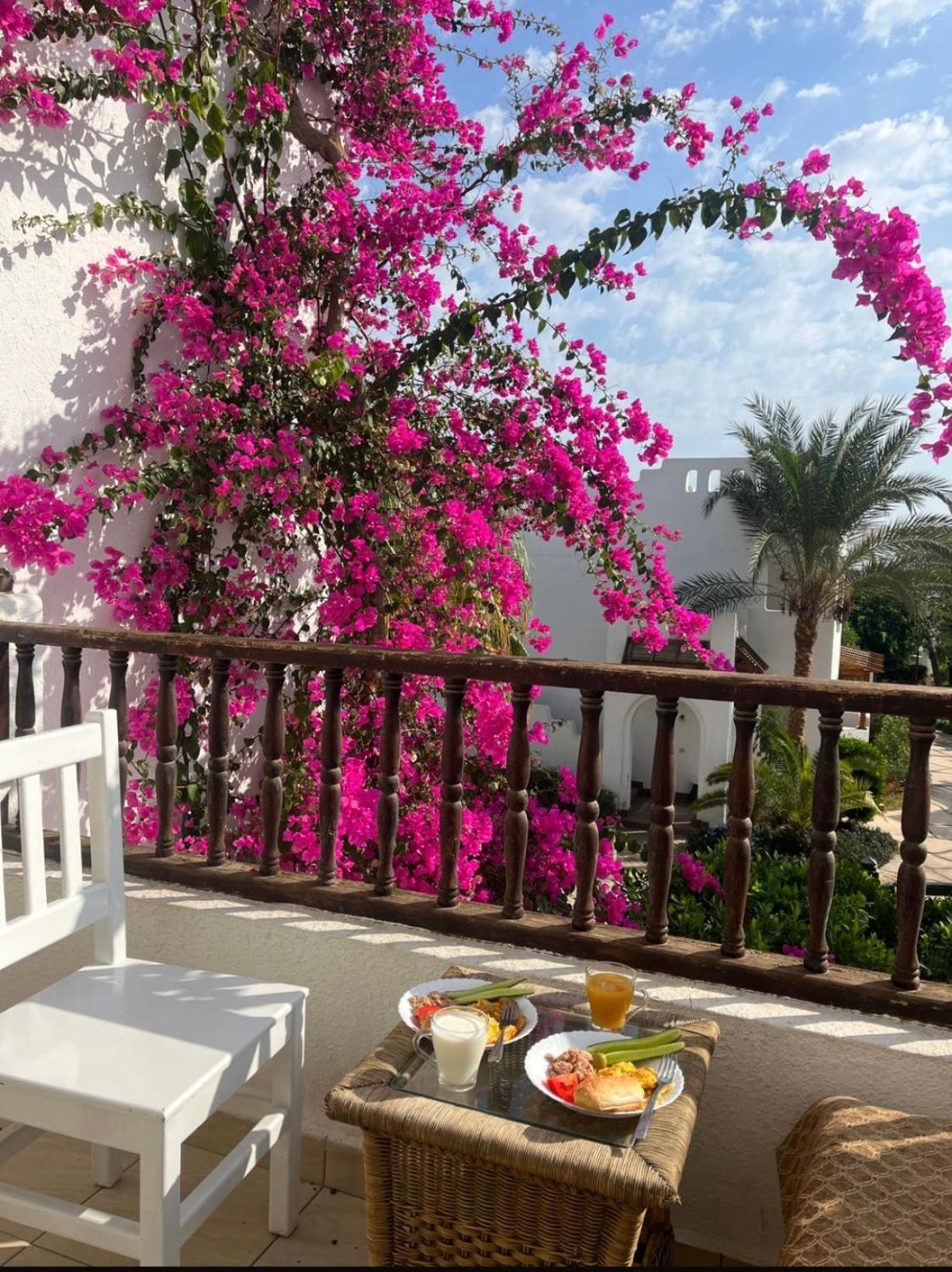 Delta Sharm Daire Dış mekan fotoğraf
